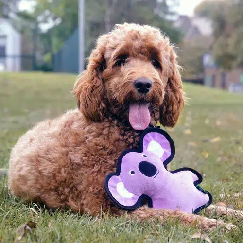 Eco Dog Toys