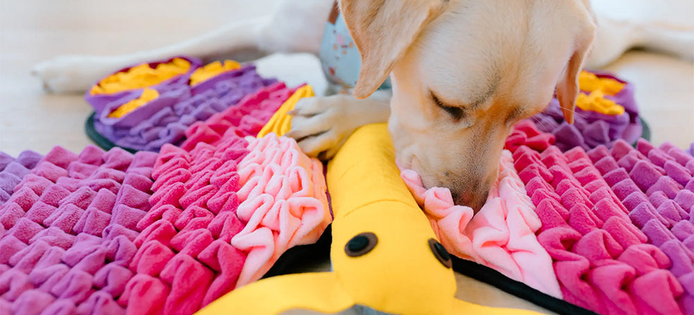 Snuffle Mat