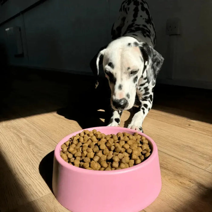 Beco - Steady Dog Bowl - Pink-Beco-Love My Hound