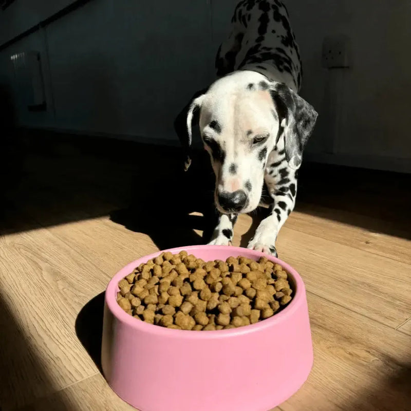 Beco - Steady Dog Bowl - Pink-Beco-Love My Hound