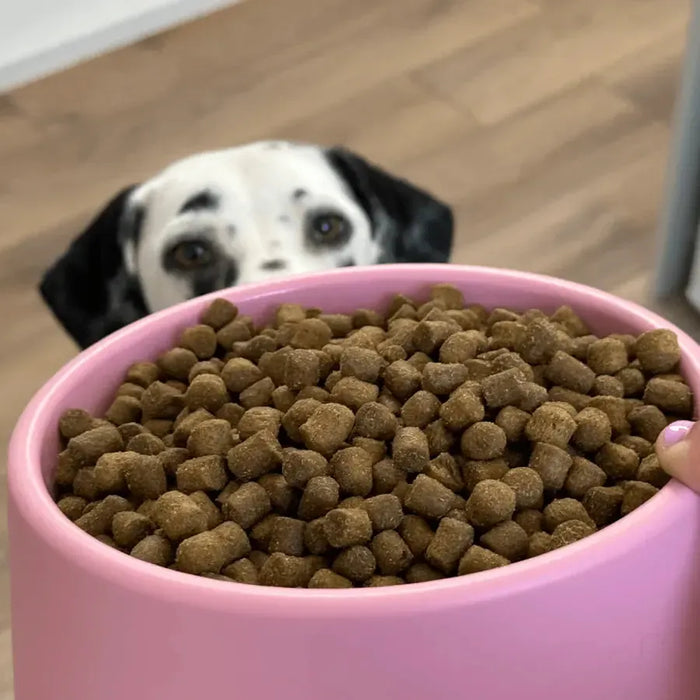 Beco - Steady Dog Bowl - Pink-Beco-Love My Hound