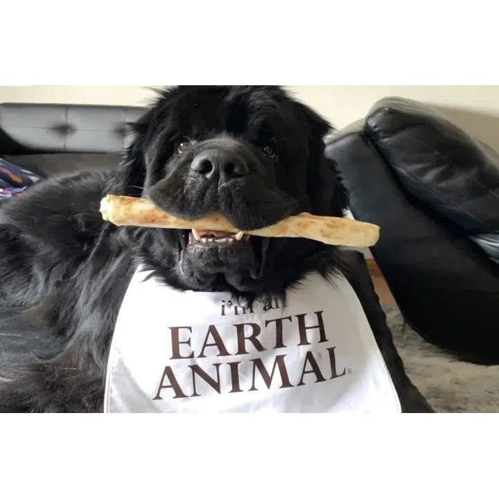 Earth Animal | No Hide Chew Dog Treat - "The Feast" TURKEY-Earth Animal-Love My Hound