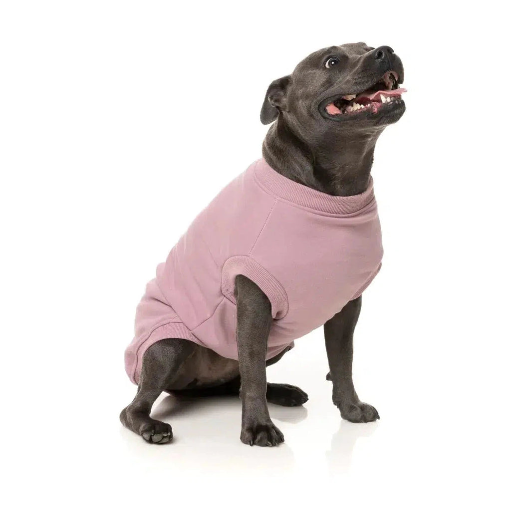 Purple 2024 dog sweater