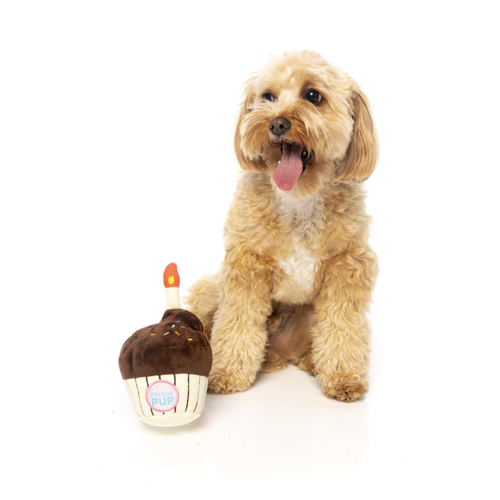 FuzzYard | Birthday Cupcake - Plush Dog Toy-FuzzYard-Love My Hound