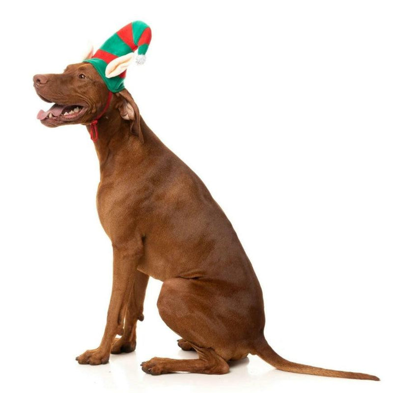 FuzzYard | Christmas Elf Hat-FuzzYard-Love My Hound