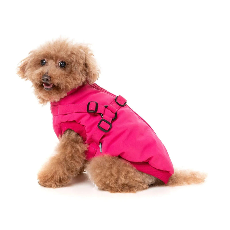FuzzYard | Flash Jacket - Magenta-FuzzYard-Love My Hound