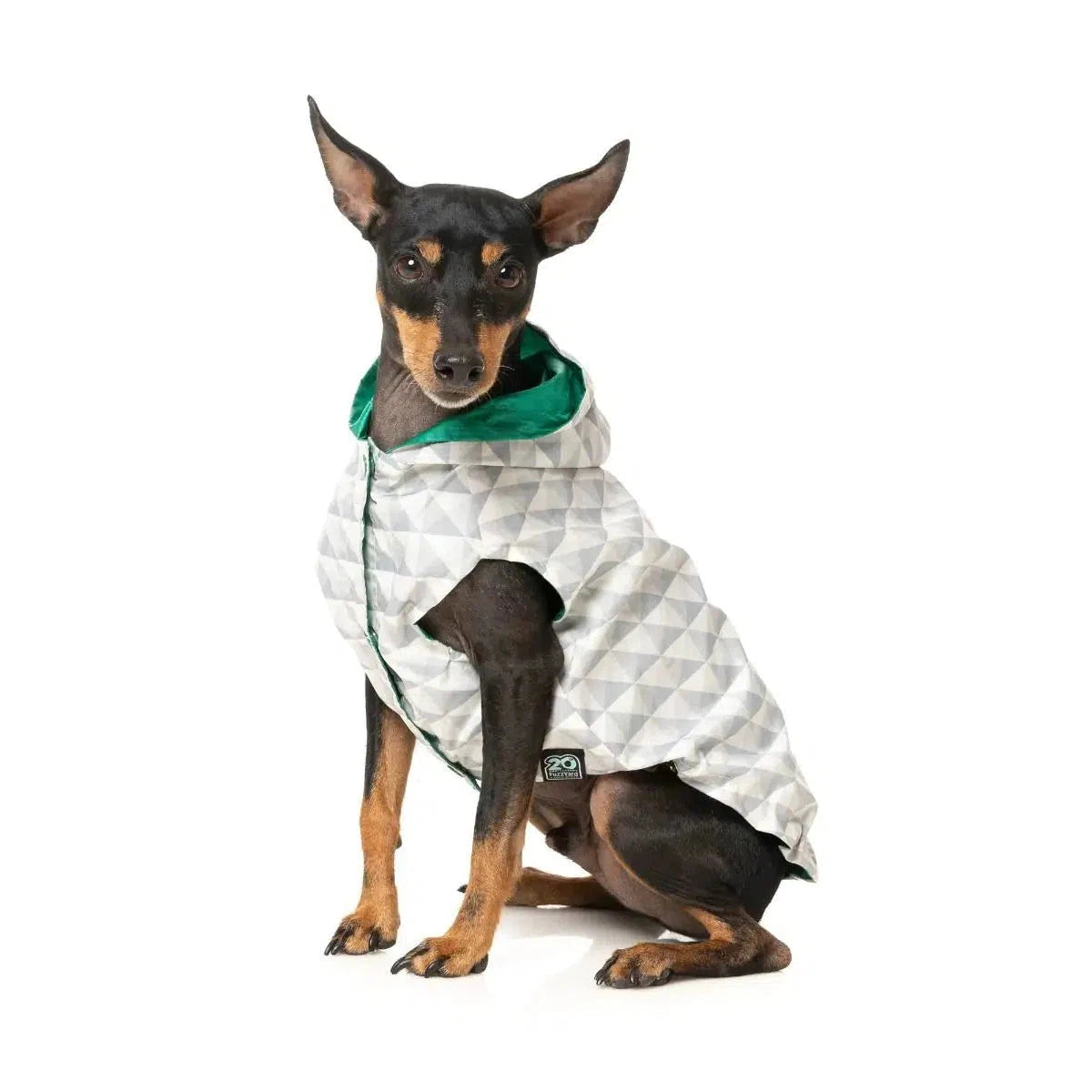 FuzzYard | Flipside Raincoat- Green/Beige-FuzzYard-Love My Hound