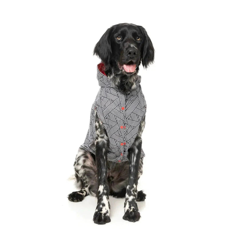 FuzzYard | Flipside Raincoat- Red/Black/White-FuzzYard-Love My Hound