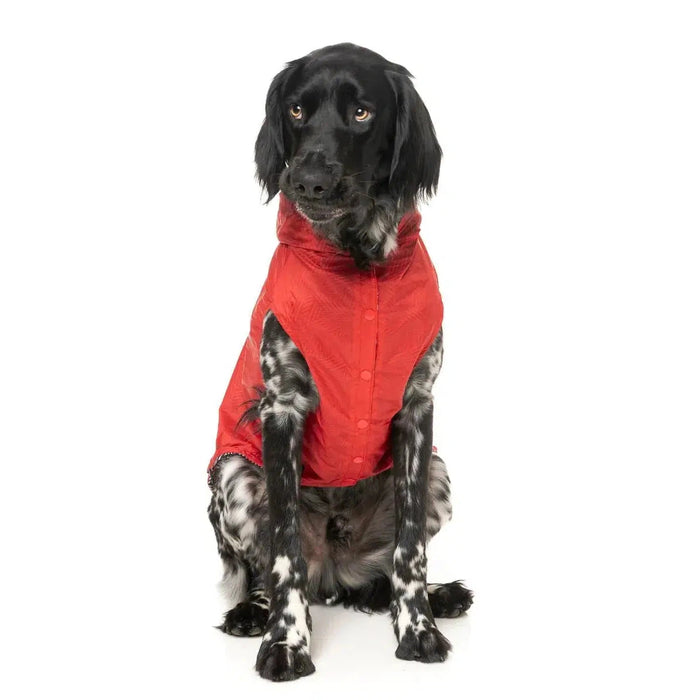 FuzzYard | Flipside Raincoat- Red/Black/White-FuzzYard-Love My Hound