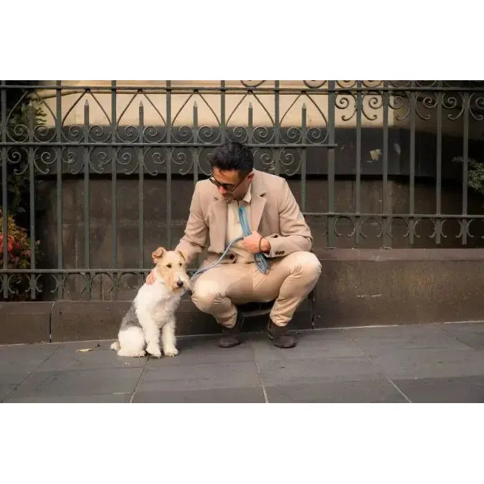 FuzzYard Life | Atelier Poop Bag Dispenser - French Blue-FuzzYard Life-Love My Hound