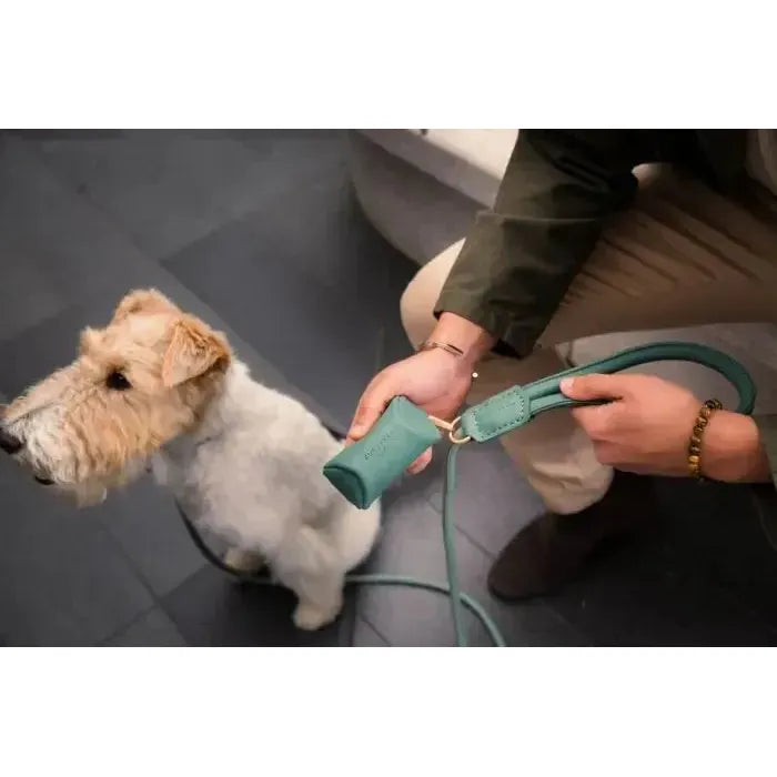 FuzzYard Life | Atelier Poop Bag Dispenser - Myrtle Green-FuzzYard Life-Love My Hound