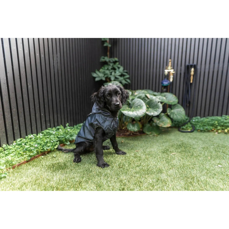 FuzzYard Life - Raincoat - Slate Grey-FuzzYard Life-Love My Hound