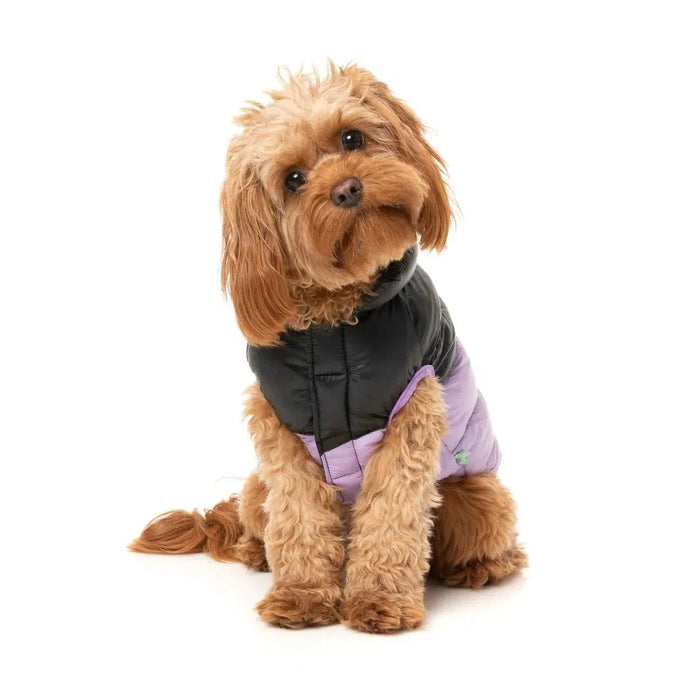 FuzzYard | South Harlem Dog Puffer Jacket - Lilac-FuzzYard-Love My Hound
