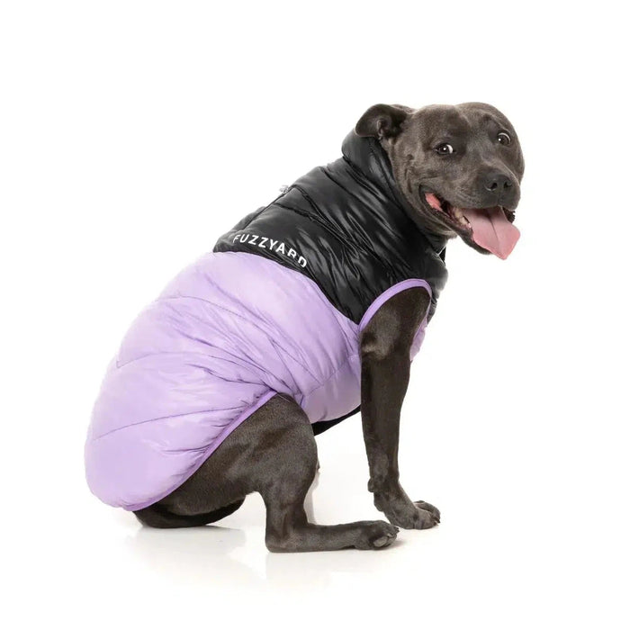 FuzzYard | South Harlem Dog Puffer Jacket - Lilac-FuzzYard-Love My Hound