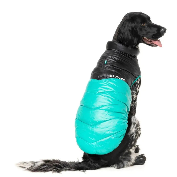 FuzzYard | South Harlem Dog Puffer Jacket - Teal-FuzzYard-Love My Hound