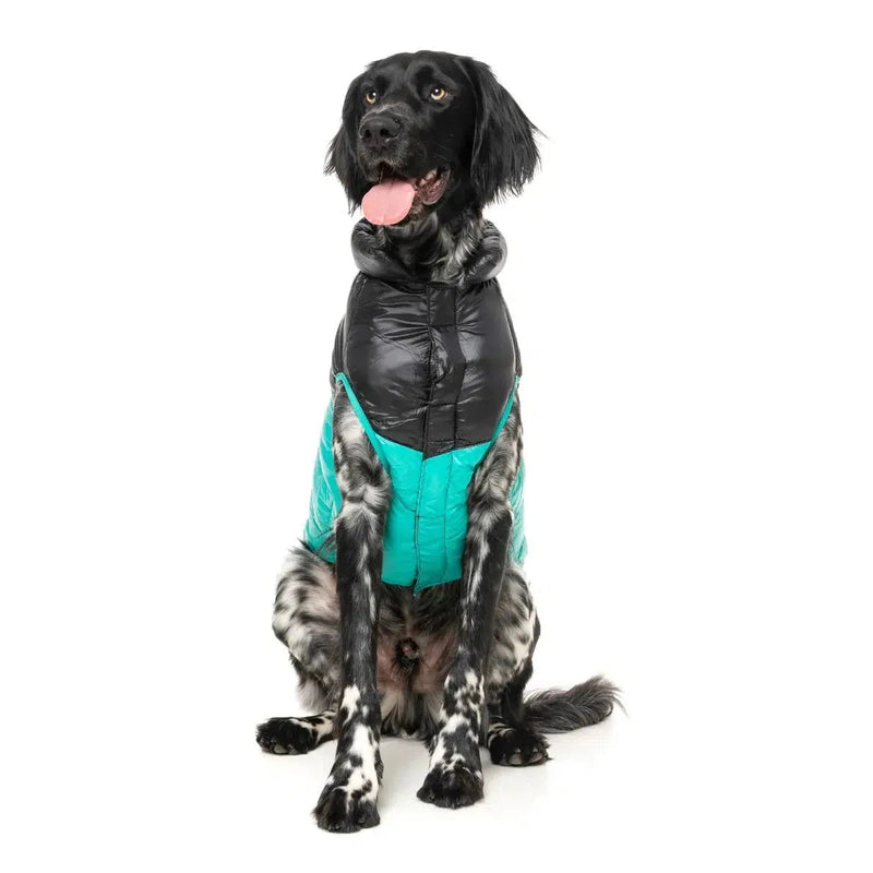 FuzzYard | South Harlem Dog Puffer Jacket - Teal-FuzzYard-Love My Hound