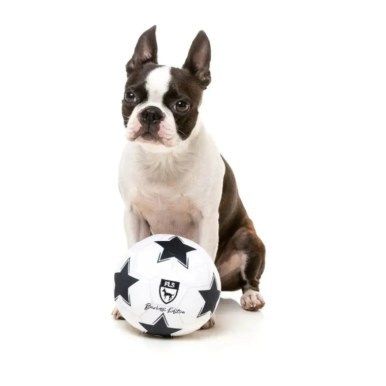 Fuzzyard | Football - Plush Dog Toy