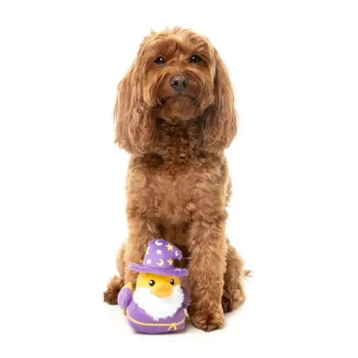 Fuzzyard | Sirus Quack - Dog Toy-FuzzYard-Love My Hound