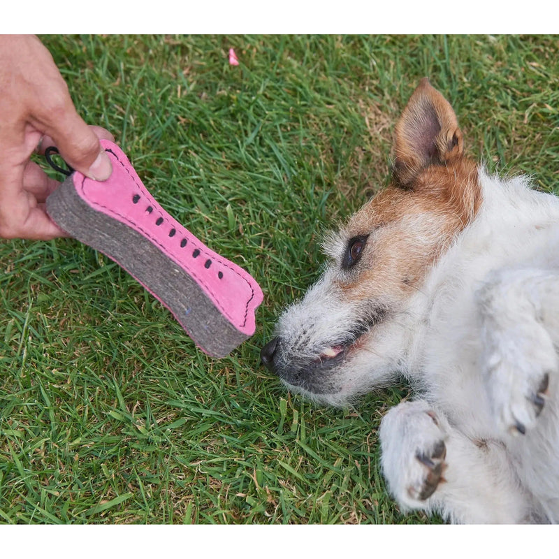 Green & Wilds | Eco Dog Toy - Pink Bone-Green & Wilds-Love My Hound