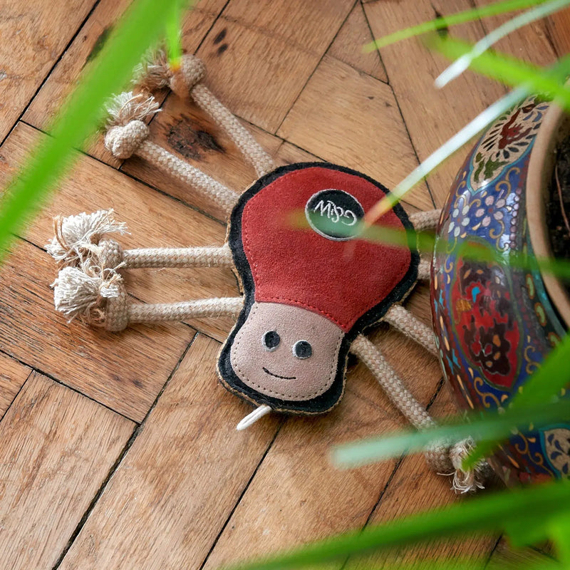 Green & Wilds | Eco Dog Toy - Spike the Spider-Green & Wilds-Love My Hound
