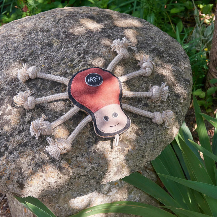 Green & Wilds | Eco Dog Toy - Spike the Spider-Green & Wilds-Love My Hound