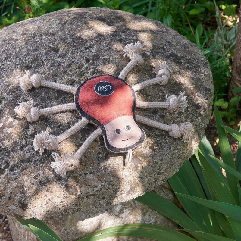 Green & Wilds | Eco Dog Toy - Spike the Spider-Green & Wilds-Love My Hound