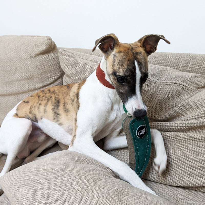 Green & Wilds | Juan the Jalapeño - Eco Dog Toy-Green & Wilds-Love My Hound
