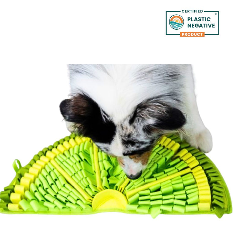 PawzNDogz | Zesty Lime™ Snuffle Mat - Challenge Level 2