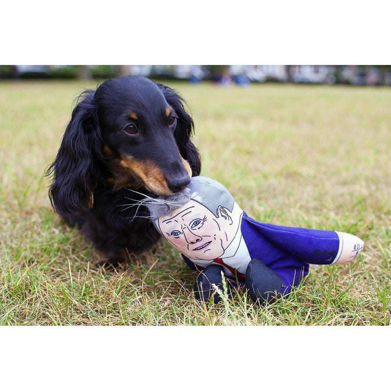 Pet Hates | Keir Starmer - Dog Toy-Pet Hates-Love My Hound