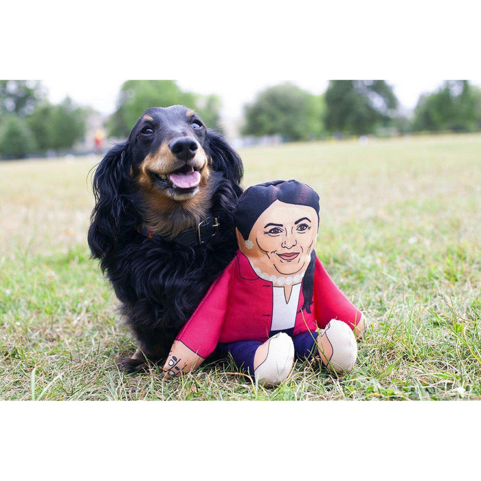 Pet Hates | Priti Patel - Dog Toy-Pet Hates-Love My Hound