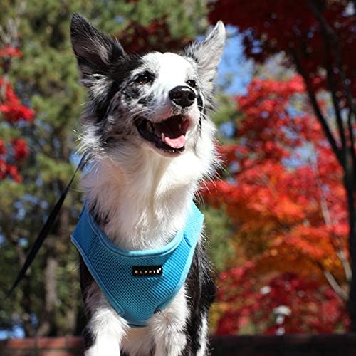 Puppia Soft Vest Dog Harness (B) - Sky Blue-Puppia-Love My Hound