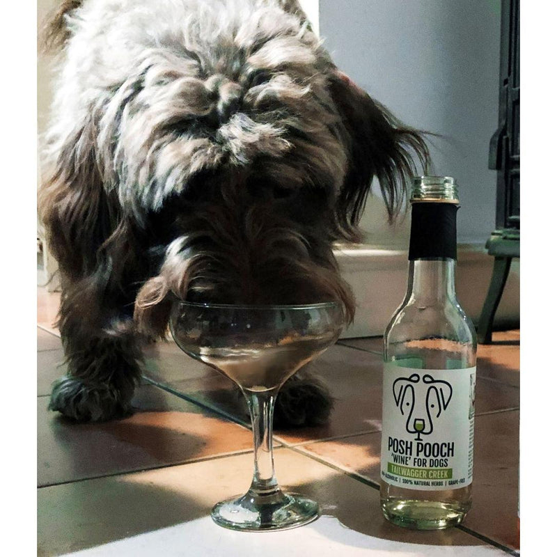 WOOF&BREW | Posh Pooch - Dog Wine Treat Duo Pack-WOOF&BREW LTD-Love My Hound