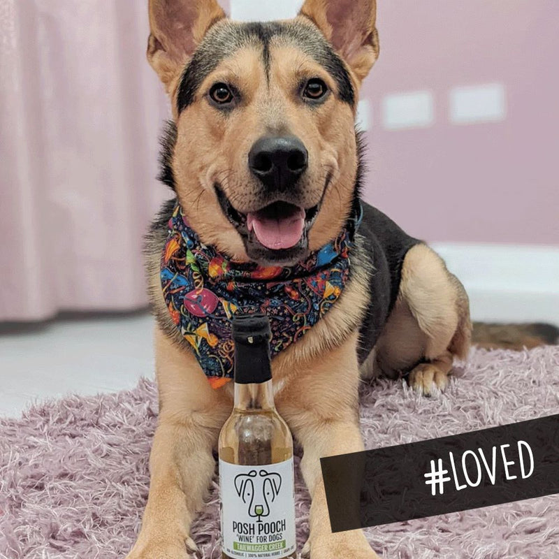 WOOF&BREW | Posh Pooch - Dog Wine Treat Duo Pack-WOOF&BREW LTD-Love My Hound