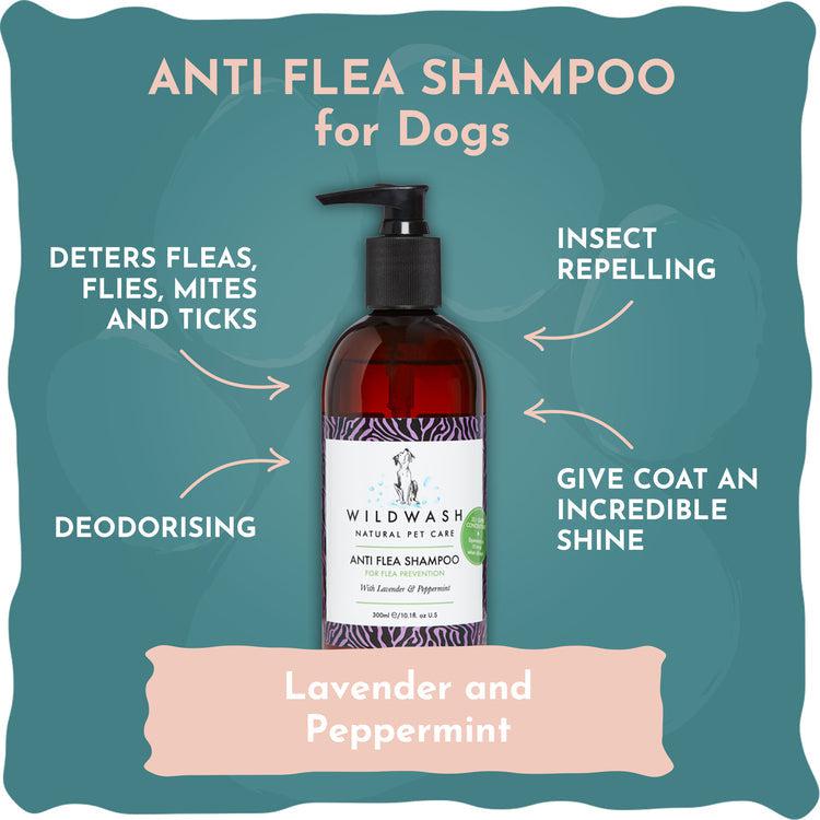 Wildwash Pro - Anti Flea Shampoo for Dogs - 300ml-WildWash-Love My Hound