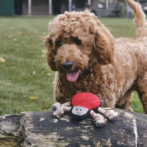 Beco - Recycled Rough & Tough - Steve the Spider Dog Toy-Beco-Love My Hound