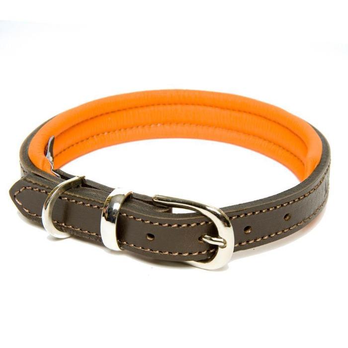 Dogs & Horses Padded Leather Dog Collar - Orange & Brown