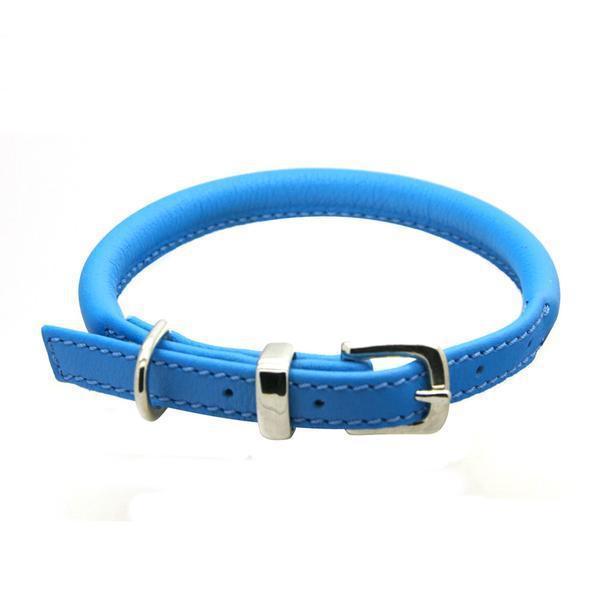 Dogs & Horses Rolled Leather Dog Collar - Blue