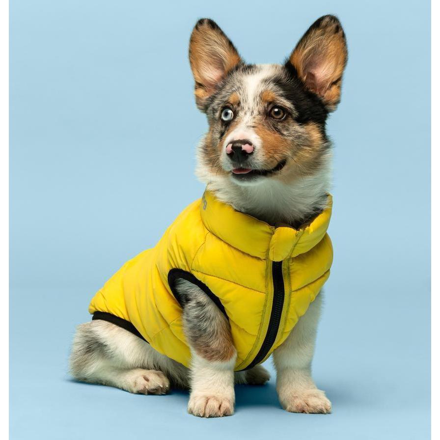 Fabdog | Yellow & Grey - 'Pack N' Go' Reversible Dog Puffer Jacket-Fabdog-Love My Hound