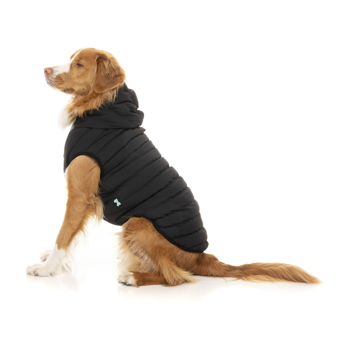 FuzzYard | Aspen Dog Jacket - Black-FuzzYard-Love My Hound