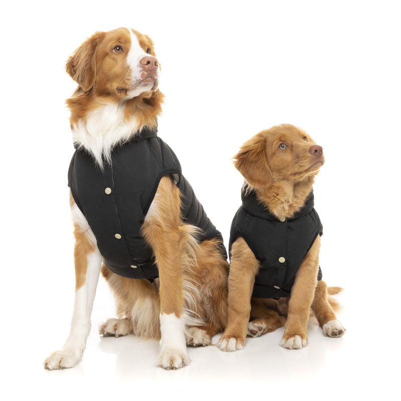 FuzzYard | Aspen Dog Jacket - Black-FuzzYard-Love My Hound