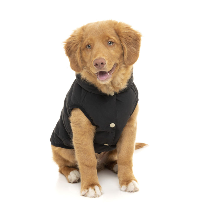 FuzzYard | Aspen Dog Jacket - Black-FuzzYard-Love My Hound