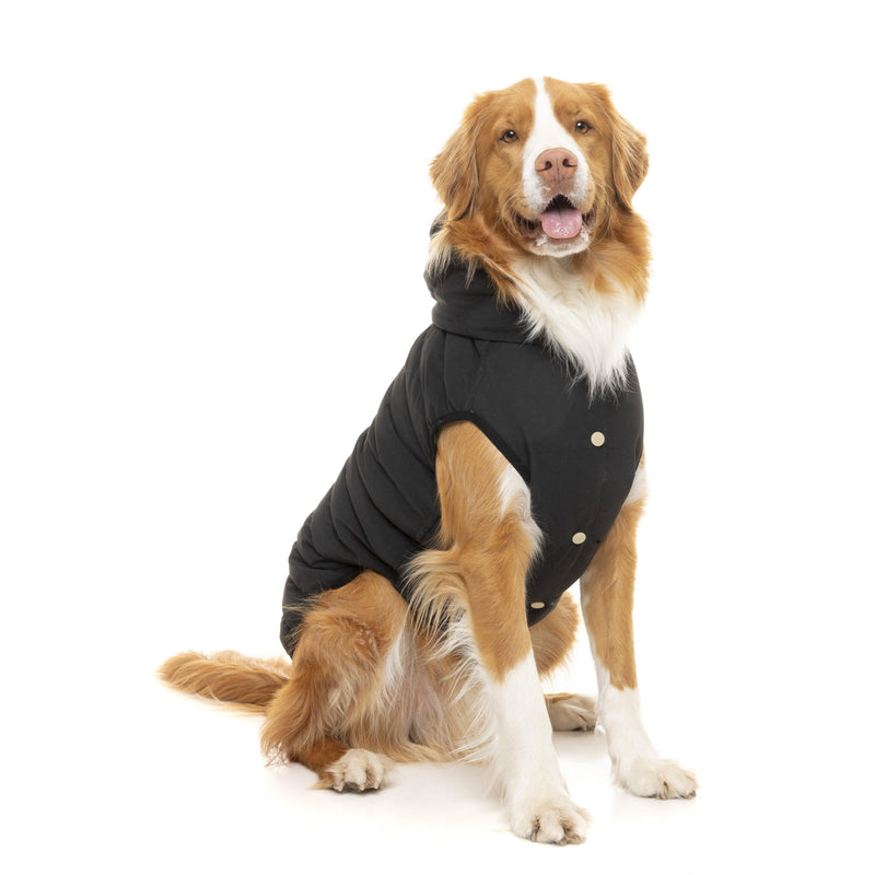 FuzzYard | Aspen Dog Jacket - Black-FuzzYard-Love My Hound