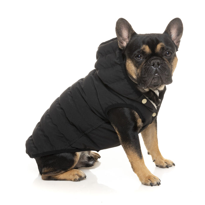 FuzzYard | Aspen Dog Jacket - Black-FuzzYard-Love My Hound