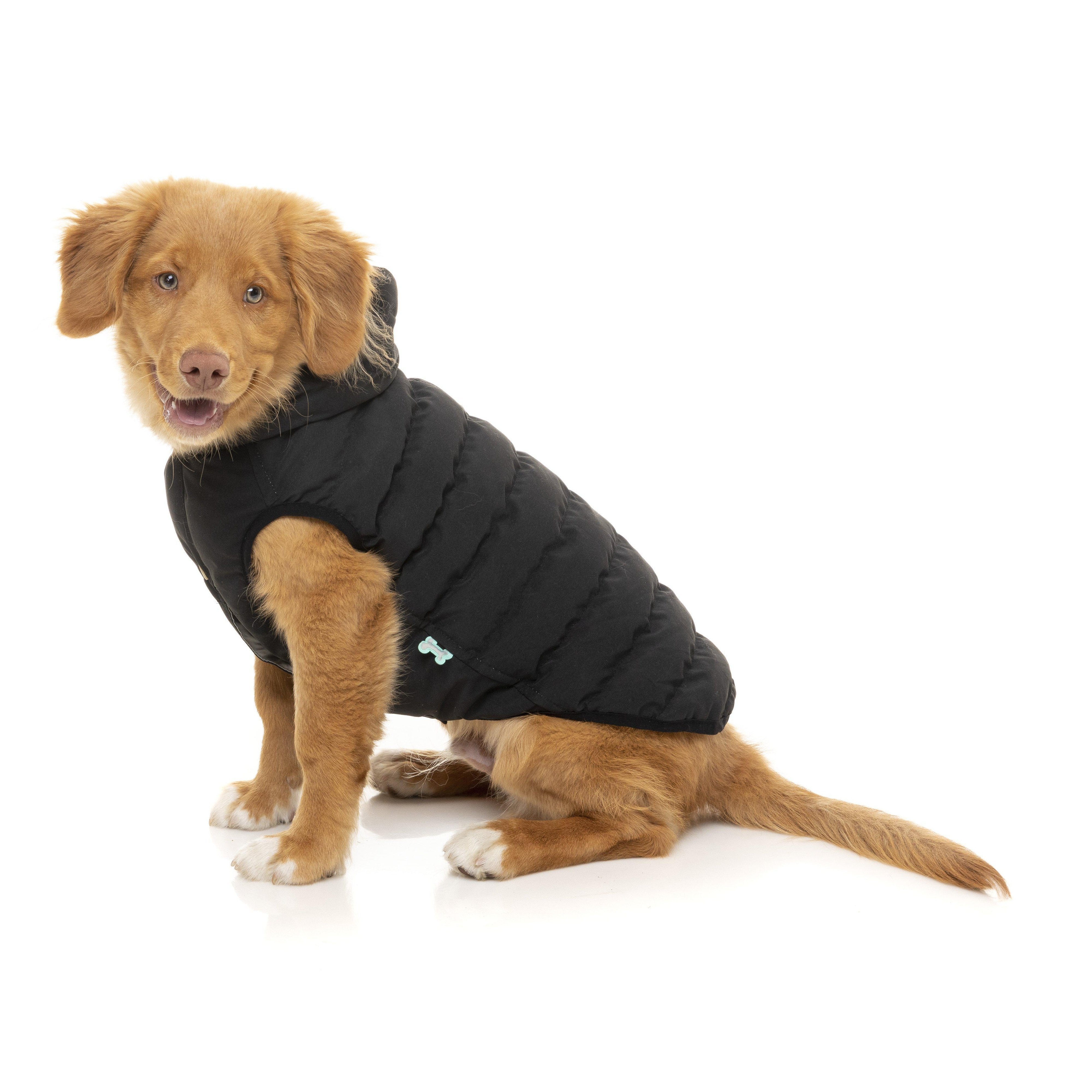 FuzzYard | Aspen Dog Jacket - Black-FuzzYard-Love My Hound