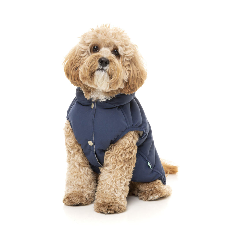 FuzzYard | Aspen Dog Jacket - Marine Blue-FuzzYard-Love My Hound