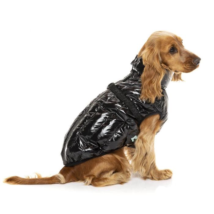 FuzzYard | Calabasas Jacket - Black-FuzzYard-Love My Hound