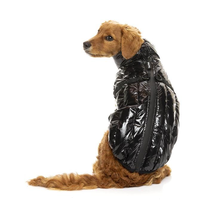 FuzzYard | Calabasas Jacket - Black-FuzzYard-Love My Hound