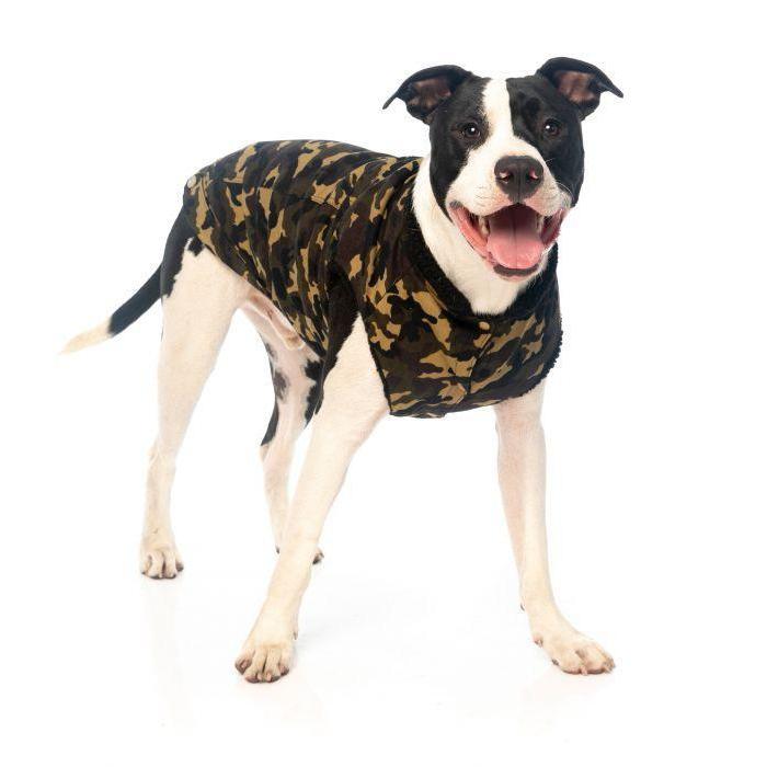 FuzzYard | GI Camo Dog Jacket-FuzzYard-Love My Hound