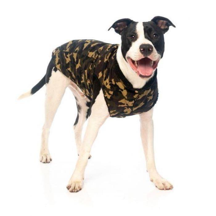 FuzzYard | GI Camo Dog Jacket-FuzzYard-Love My Hound