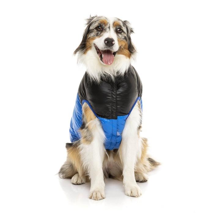 FuzzYard | Harlem Dog Puffer Jacket - Blue-FuzzYard-Love My Hound